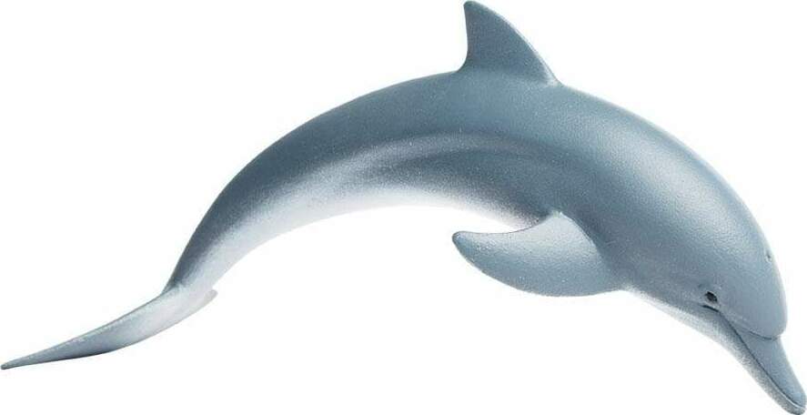 Dolphin Toy