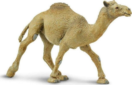 Dromedary Camel Toy