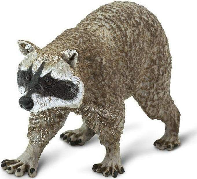 Raccoon Toy