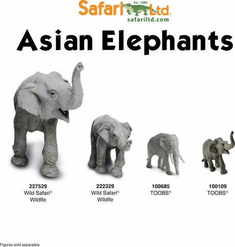 Asian Elephant Toy