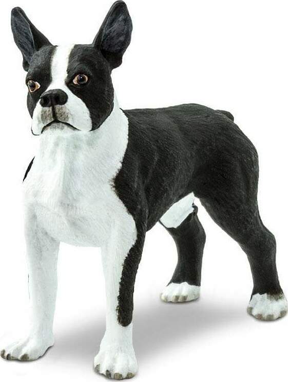 Boston Terrier Toy