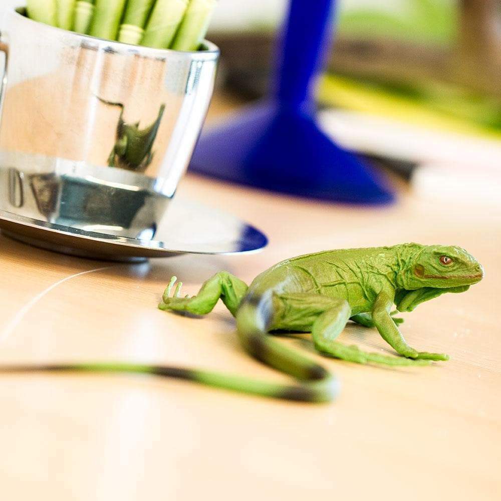 Iguana Baby Toy