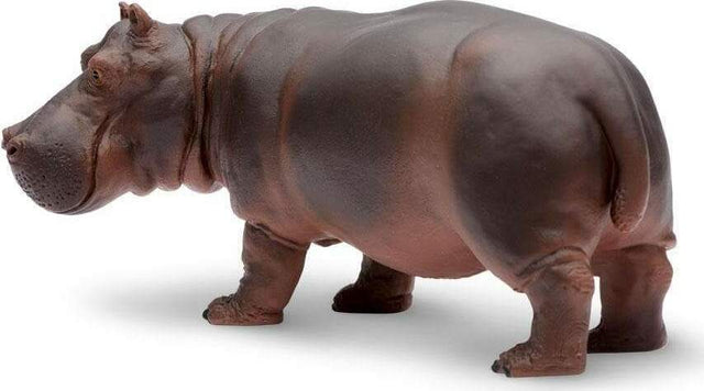 Hippopotamus Toy