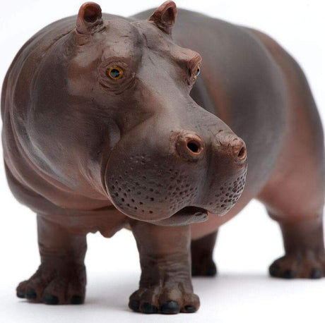 Hippopotamus Toy