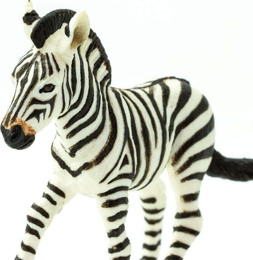 Zebra Foal Toy