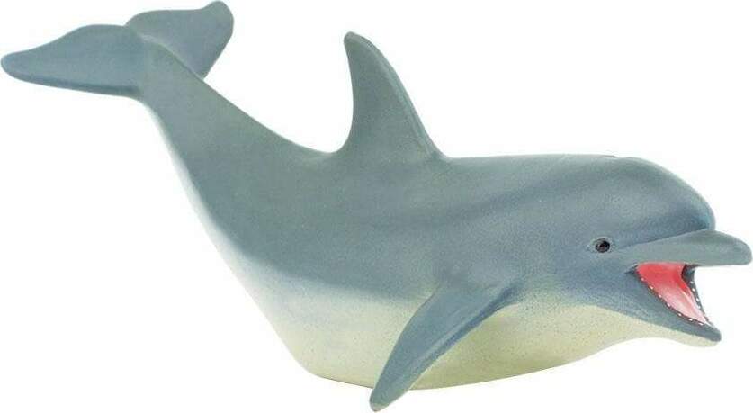 Dolphin Toy