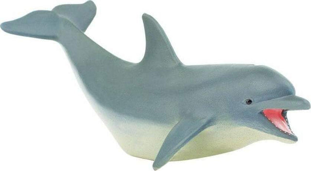 Dolphin Toy