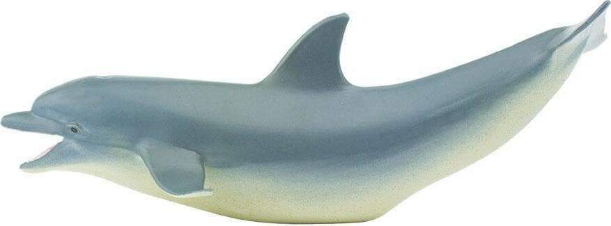 Dolphin Toy