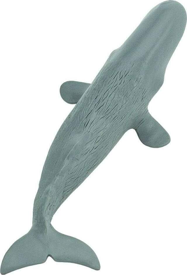 Sperm Whale