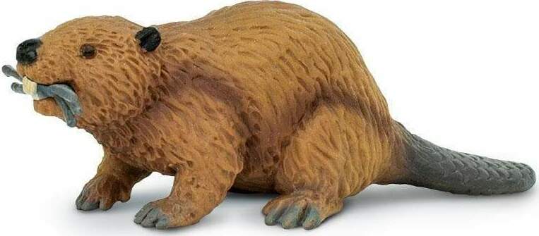 Beaver Toy