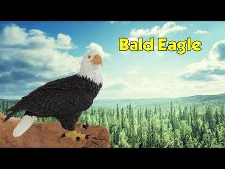 Bald Eagle Toy