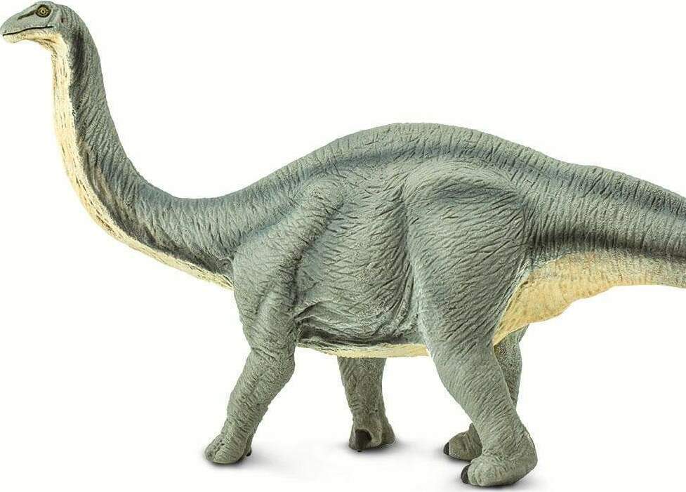 Apatosaurus Toy