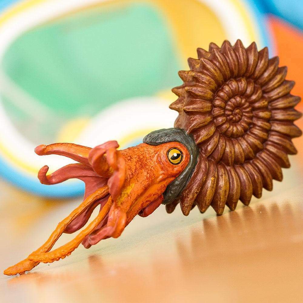 Ammonite Toy