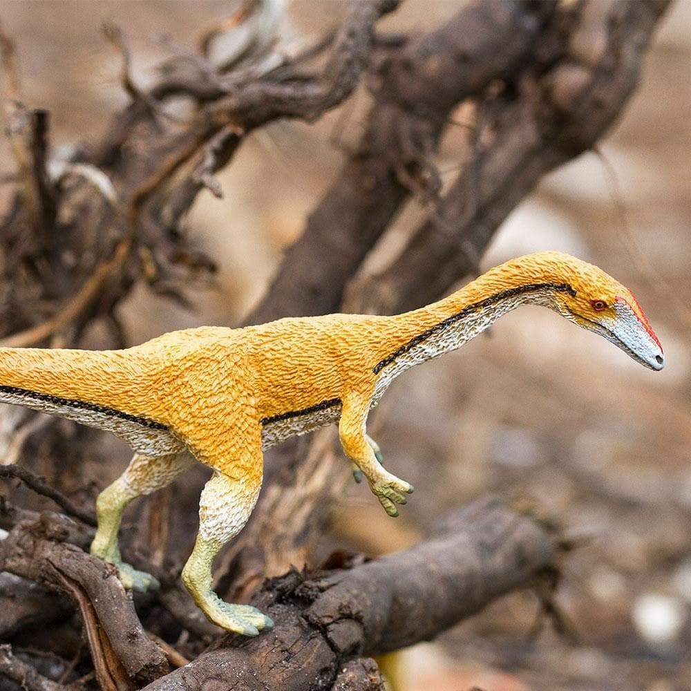 Coelophysis Toy