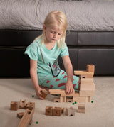 TEDCO's Blocks and Marble Run