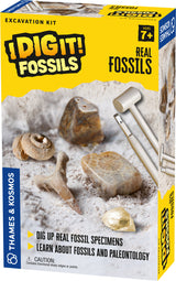 I Dig It! Fossils - Real Fossils Excavation Kit