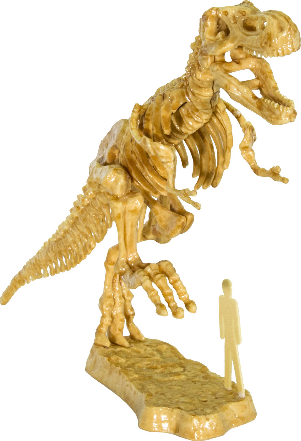 I Dig It! Dinos - 3D T. Rex Excavation Kit