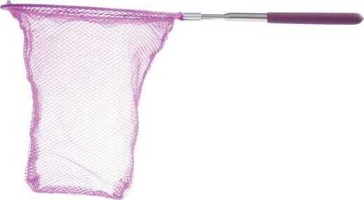 Telescoping Butterfly Net