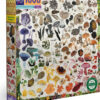 Mushroom Rainbow 1000 Piece Puzzle